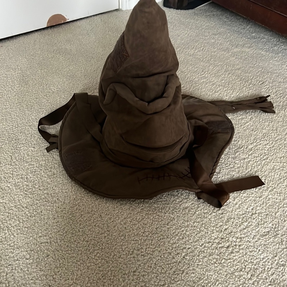 HARRY POTTER SORTING HAT